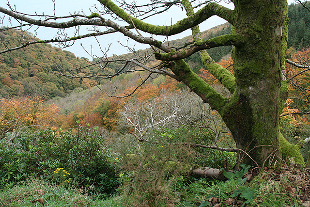 File:Countisbury, overlooking Coscombe - geograph.org.uk - 601210.jpg