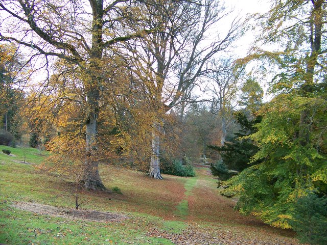 File:Dawyck Botanic Gardens - geograph.org.uk - 610581.jpg