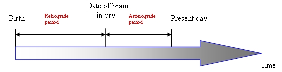 source amnesia psychology