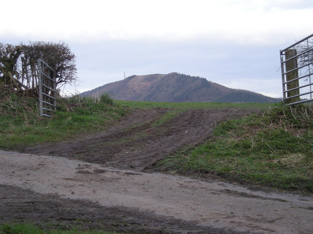 File:Gateway to a field - geograph.org.uk - 727323.jpg