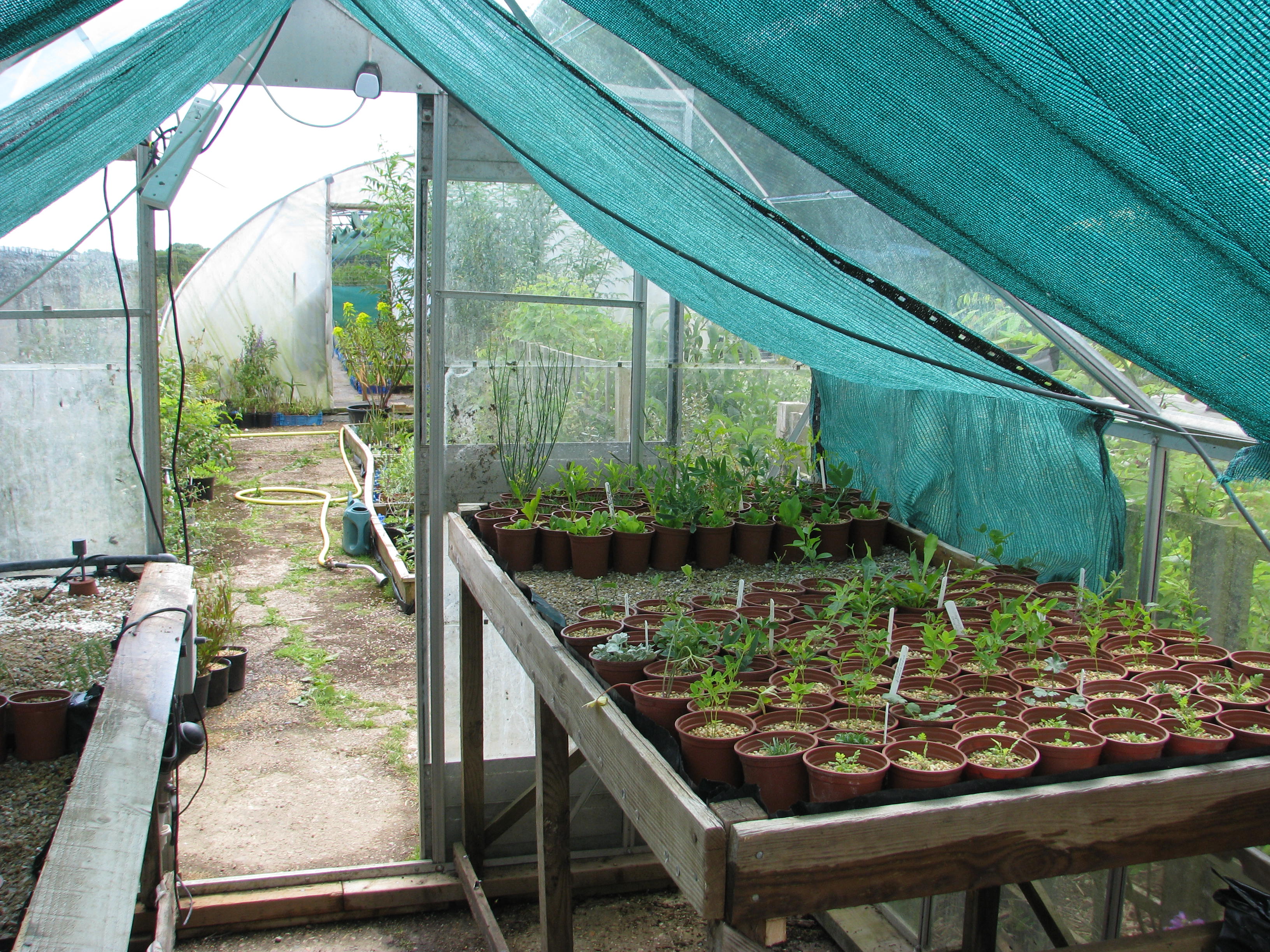 Greenhouse (14302099579).jpg