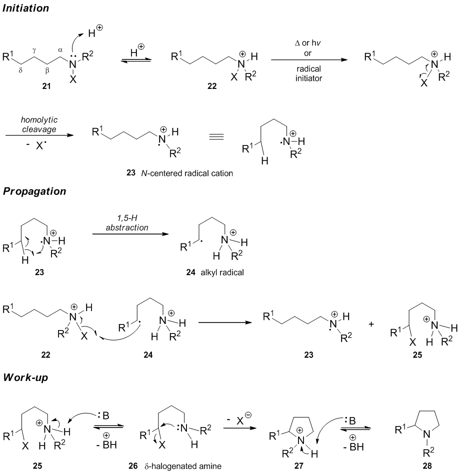 Hofmann Reaction