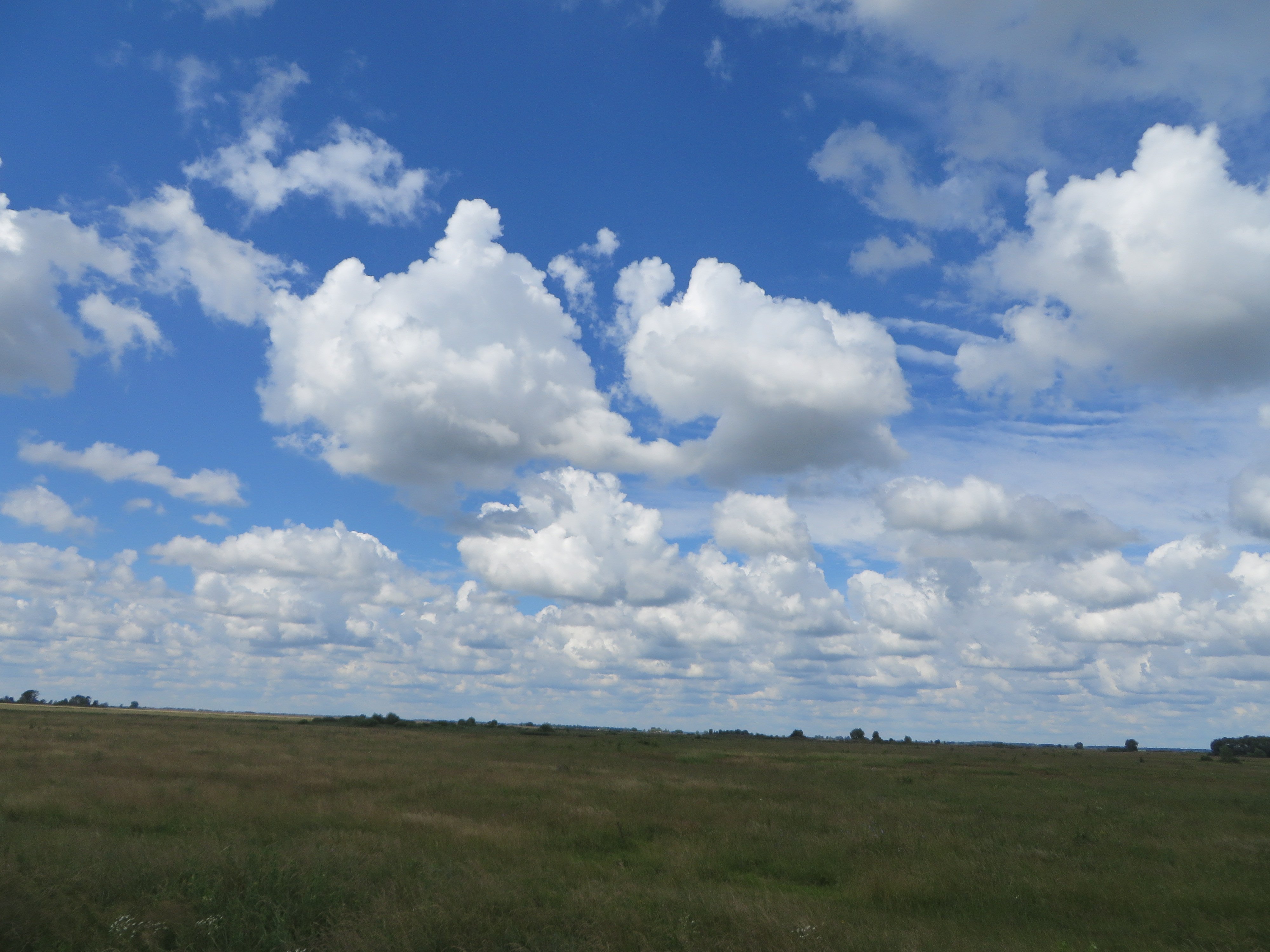 Небо первый. Close the Sky over Ukraine.