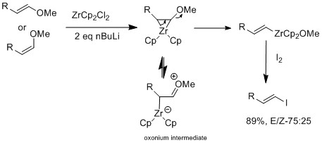 Marek's group zirconium vinyl iodide synthesis from vinyl ether