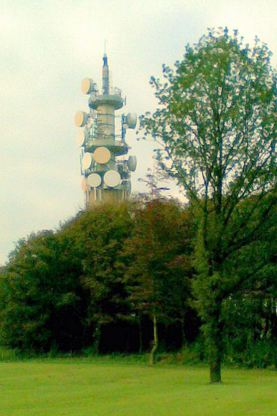 File:Microwave Communications Tower, Heaton Park - geograph.org.uk - 1244562.jpg