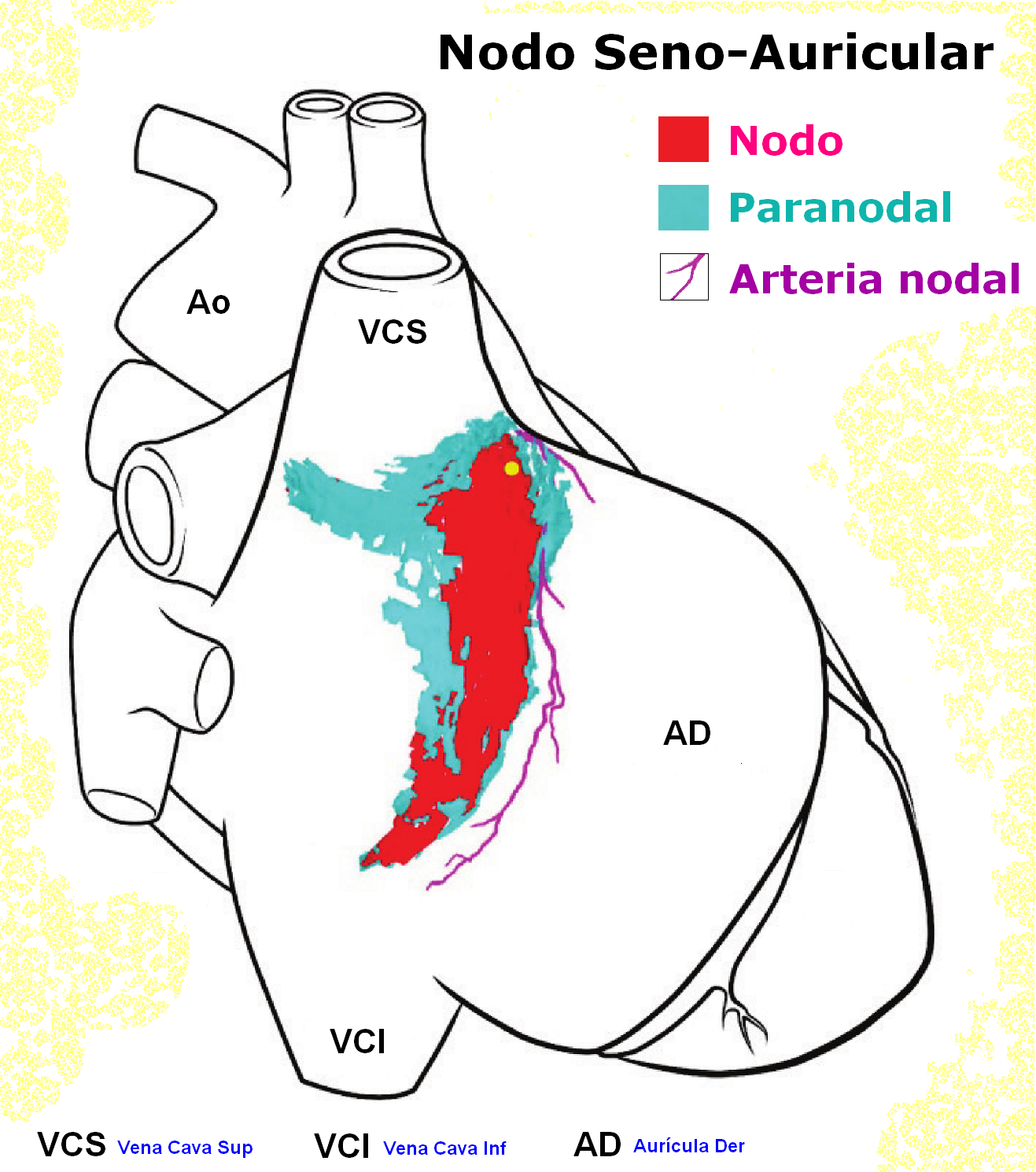 Auricular - Wikipedia, la enciclopedia libre