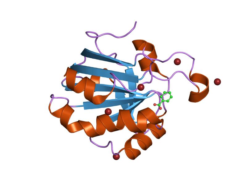 File:PDB 1hd2 EBI.jpg