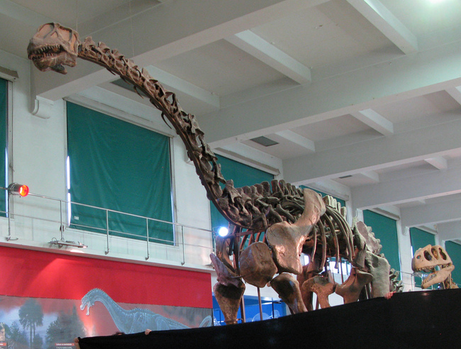Patagosaurus (1)