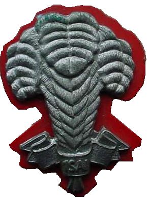 File:SADF 1 SAI beret badge.jpg