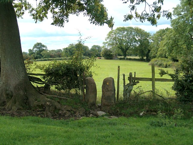 File:Squeeze stile - geograph.org.uk - 231468.jpg