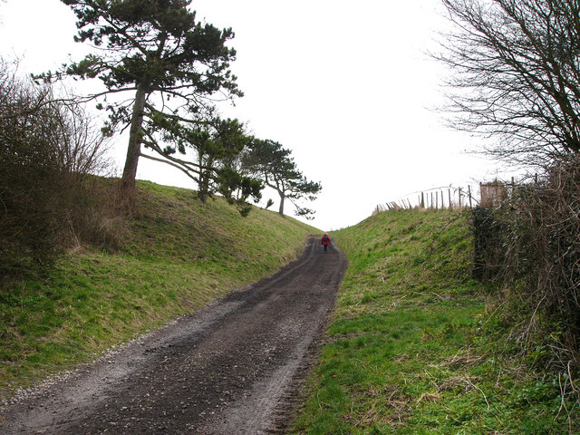 File:Track from South Farm to Upper Barns - geograph.org.uk - 699124.jpg