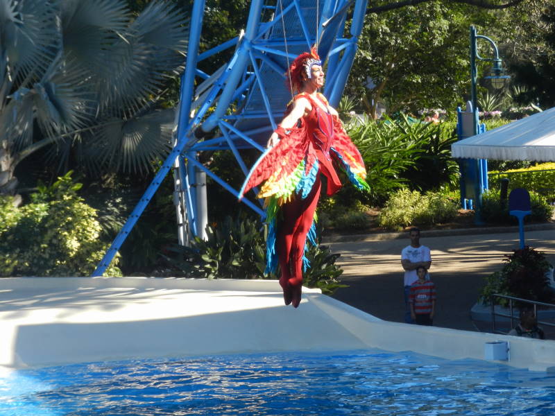 File:US Sea World 1211 (207) (17349869416).jpg