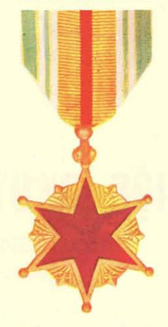 b0309 RVN Vietnam Wound Medal IR4A30 