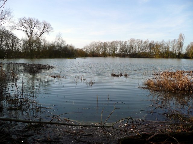 View from the hide - geograph.org.uk - 672497