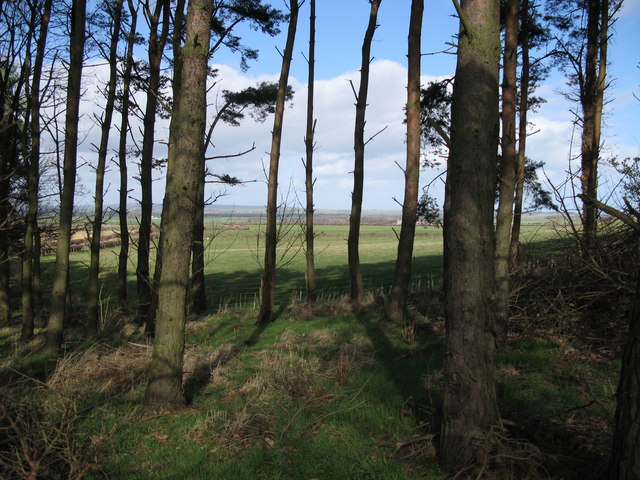 File:Woodside Farm - geograph.org.uk - 354609.jpg