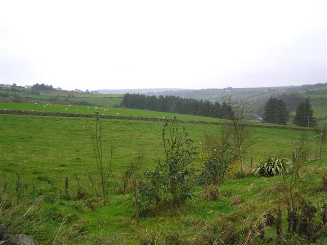 File:At Roosky - geograph.org.uk - 1559358.jpg