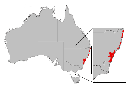 File:B ericifolia dist map gnangarra.png