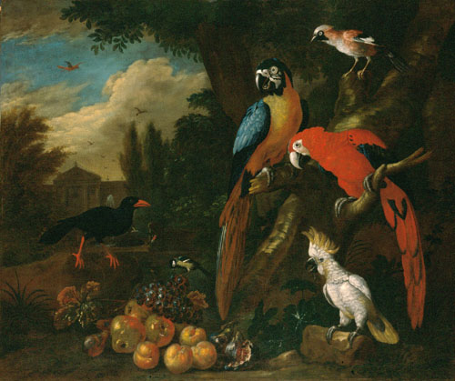 File:Bogdány Still-Life with Fruit, Parrots and a White Cockatoo.jpg