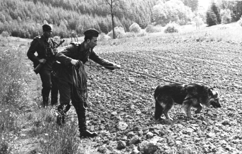 File:Bundesarchiv Bild 183-42998-0006, Grenzpolizei der DDR, Streife mit Fährtenhund.jpg