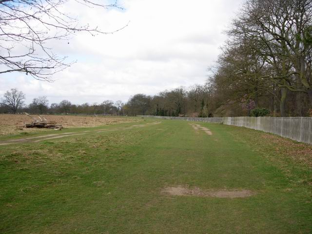 File:Bushy Park - geograph.org.uk - 151487.jpg