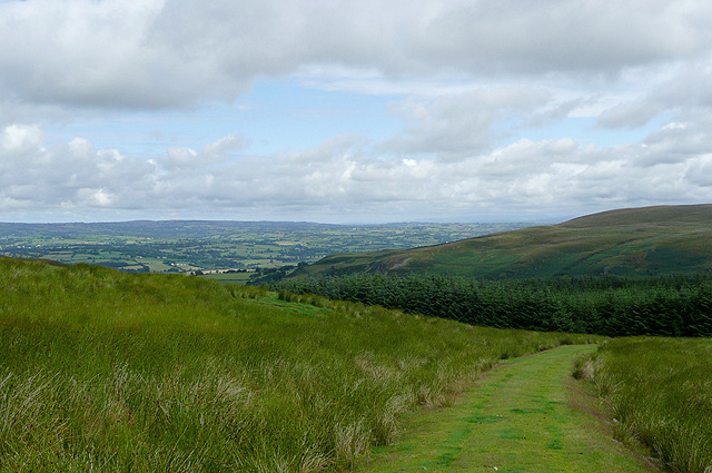 File:Ceredigion Landscape near Llanddewi-Brefi - geograph.org.uk - 1419557.jpg