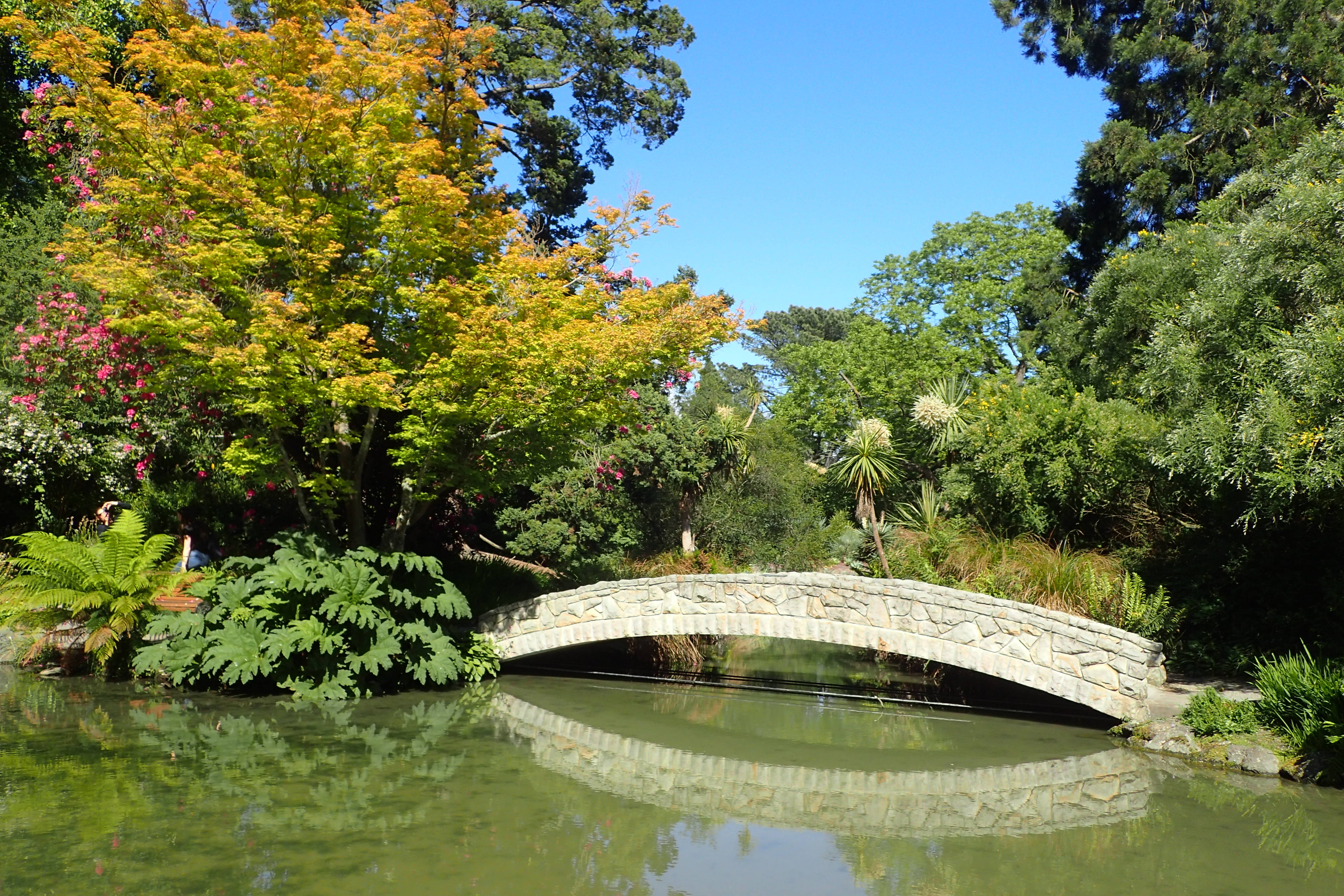 Сад кз. Christchurch Botanic Gardens Крайстчерч. Брисбен Ботанический сад. Ботанический сад в Ташкенте. Christchurch Botanic Gardens.1895.