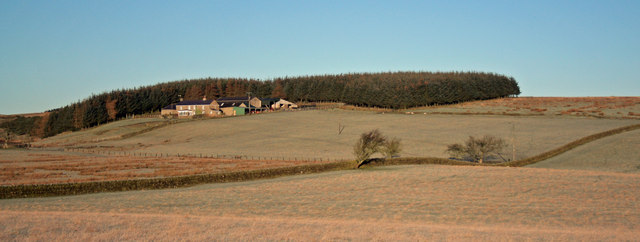 File:Closehead - geograph.org.uk - 656507.jpg