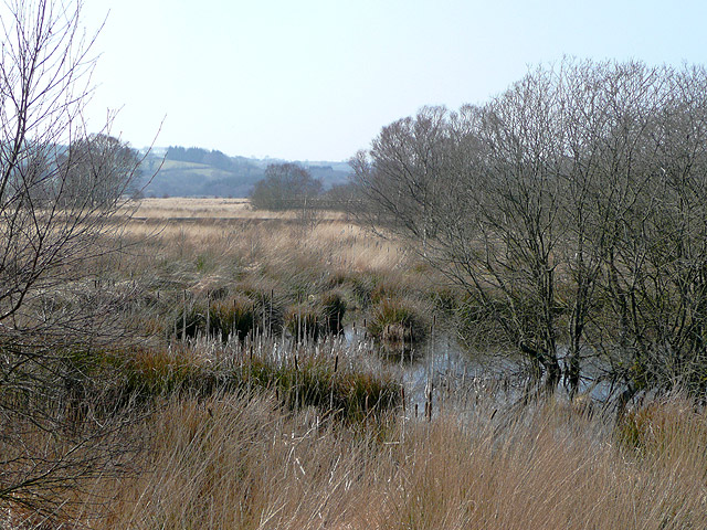 File:Cors Goch Glanteifi, Ceredigion - geograph.org.uk - 1223968.jpg