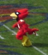 Cy the Cardinal, Iowa State's mascot.