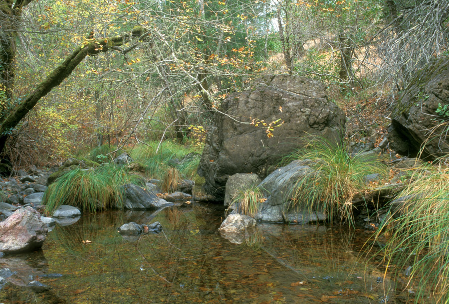 San Anselmo Creek