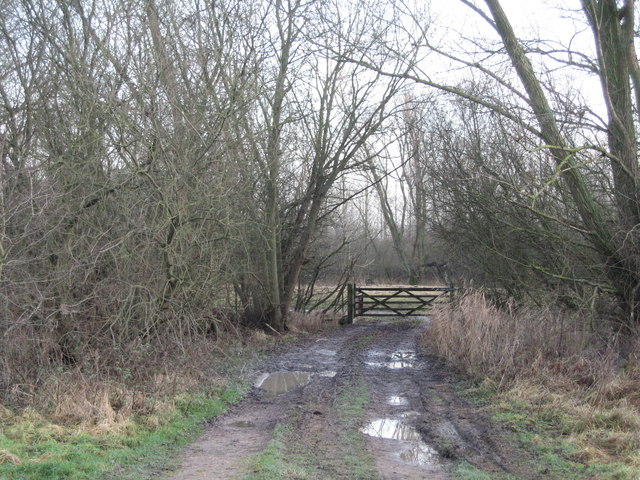 File:Farm Track - geograph.org.uk - 648980.jpg