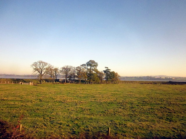 File:Field Alongside River Exe - geograph.org.uk - 5210818.jpg