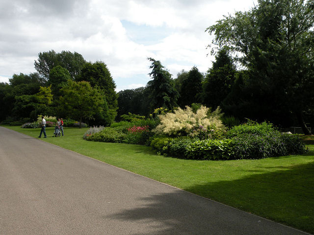 Flower beds in Bute Park - geograph.org.uk - 1375372