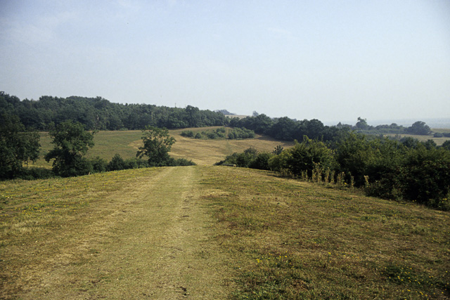 Footpath on Hadleigh Downs - geograph.org.uk - 1563544