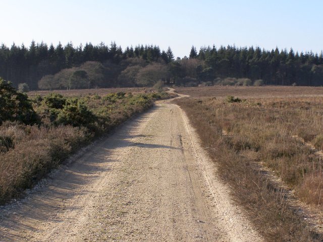 File:Gravel track to Roe Inclosure, Bratley Plain, New Forest - geograph.org.uk - 330746.jpg