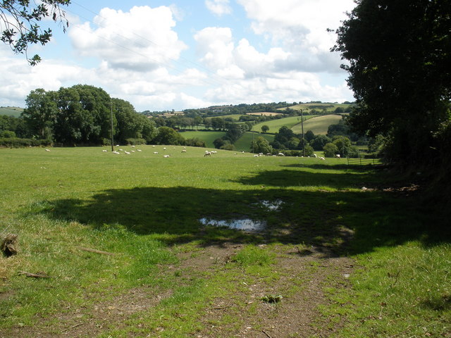 File:Grazing land, near South Zeal - geograph.org.uk - 1420946.jpg