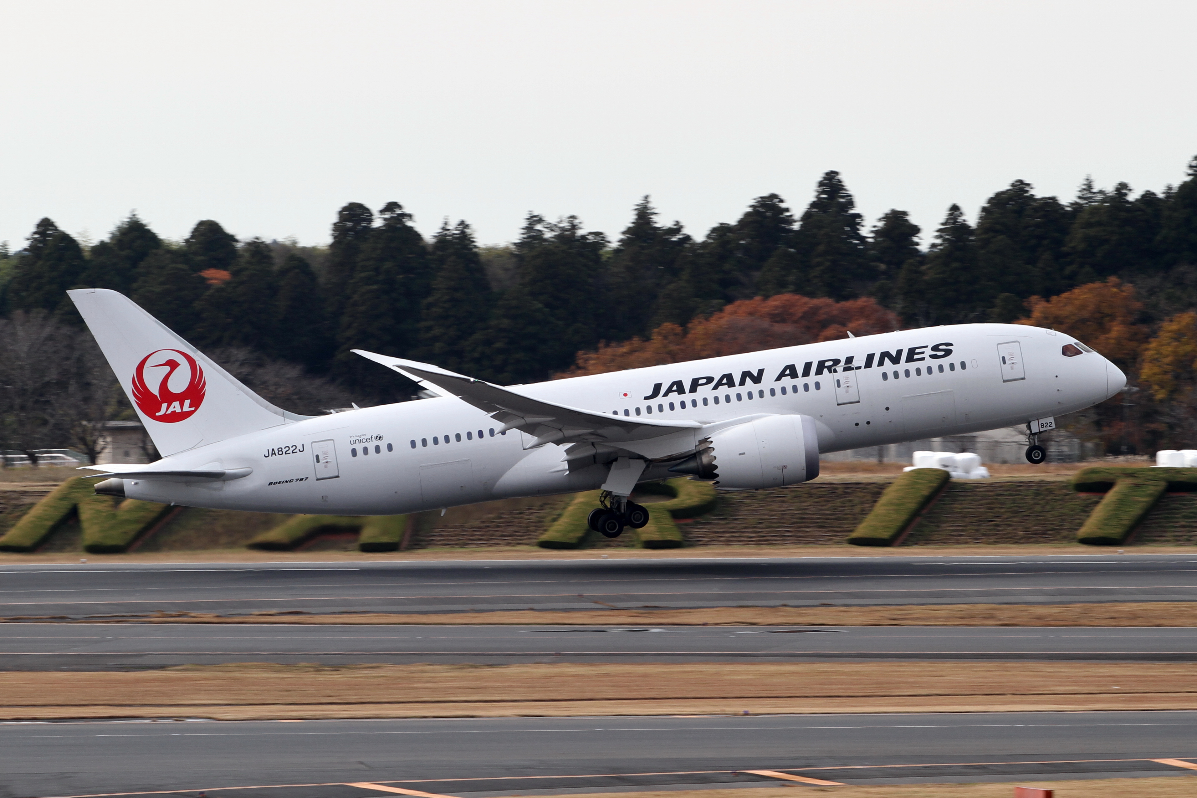 ファイル:JAL B787-8 Dreamliner (JA822J) - Flickr - Kentaro Iemoto