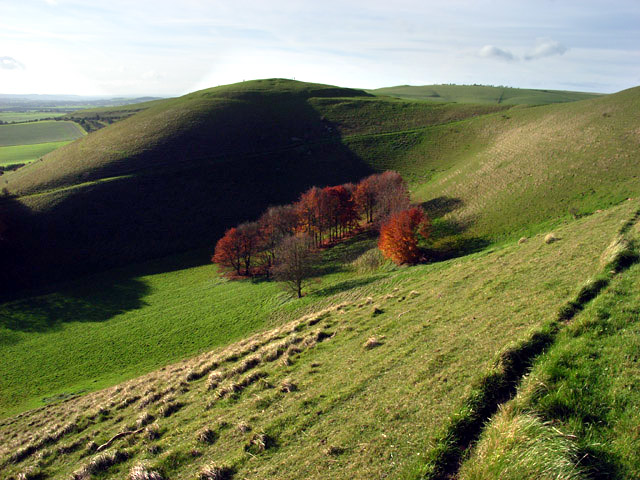 File:Knap Hill - geograph.org.uk - 282649.jpg