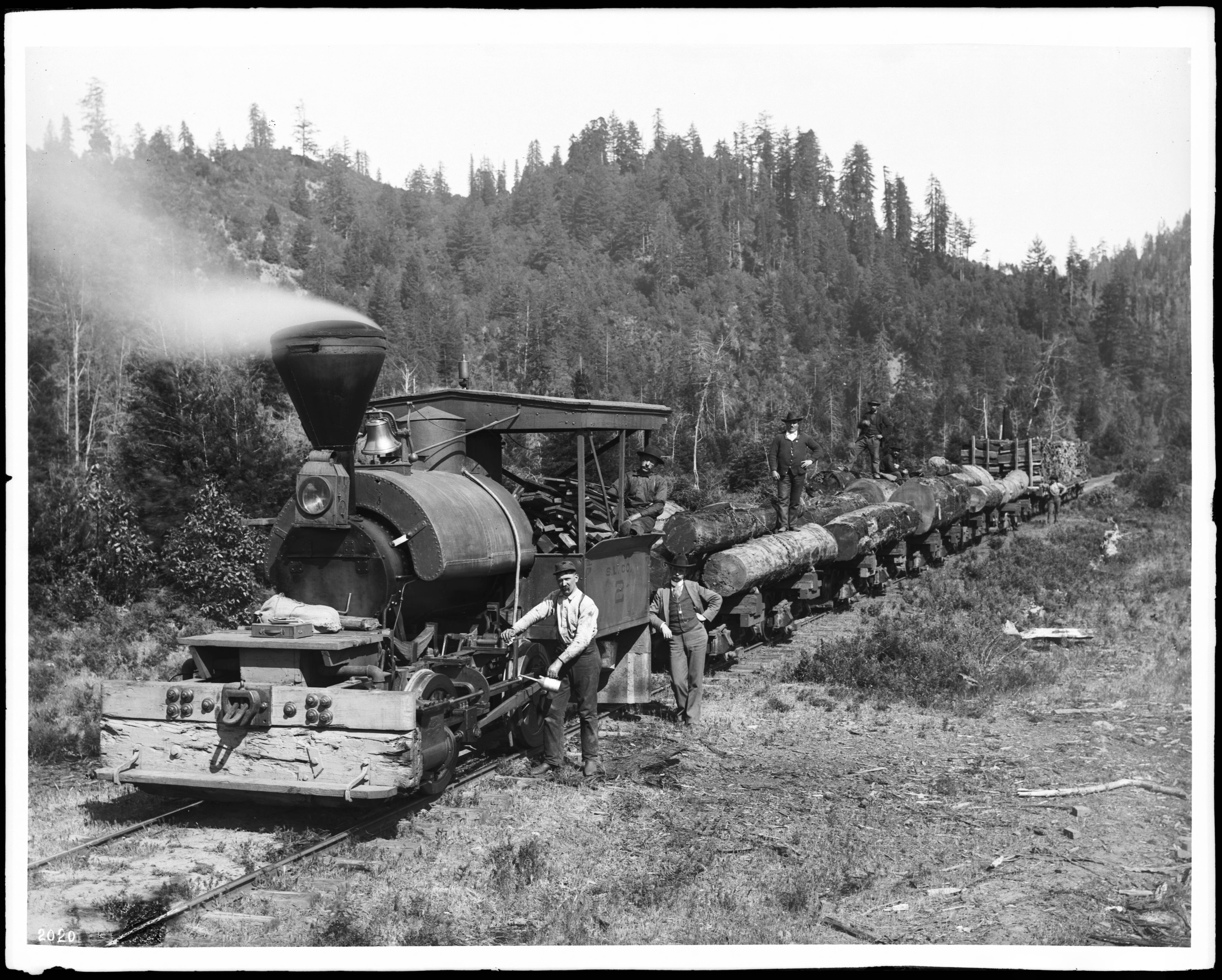 Steam logging in фото 87