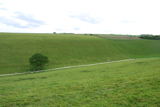 File:Looking down into South Down - geograph.org.uk - 439209.jpg