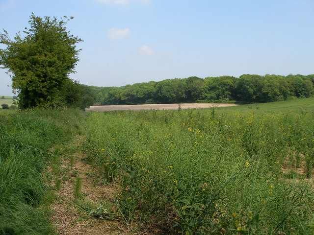 File:Looking towards Burch's Rough - geograph.org.uk - 454353.jpg