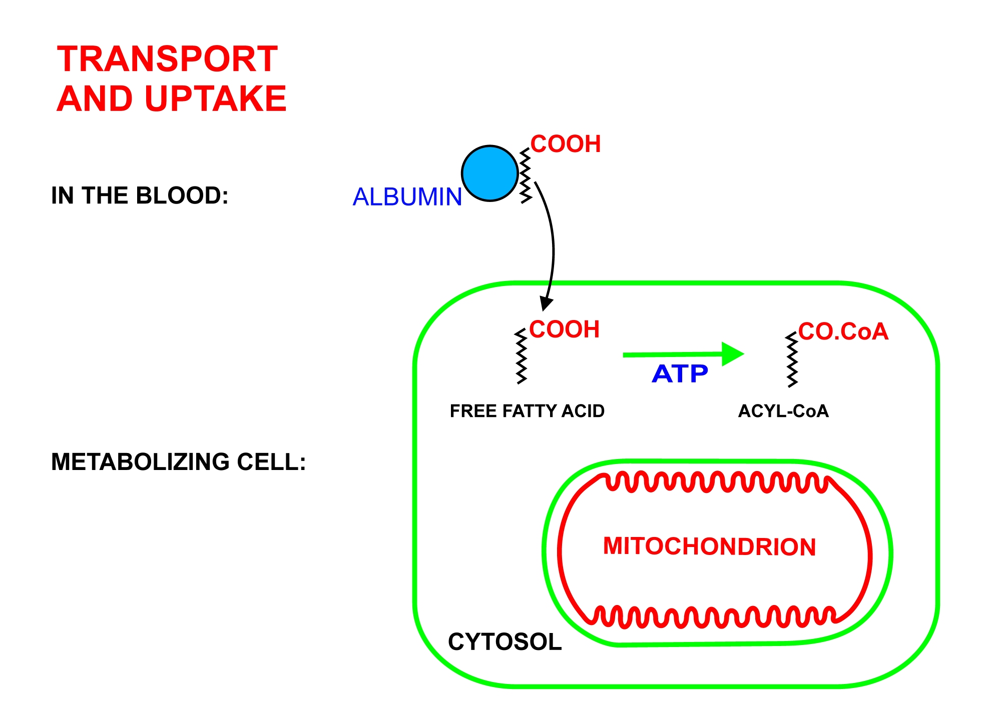 pdf Funology: