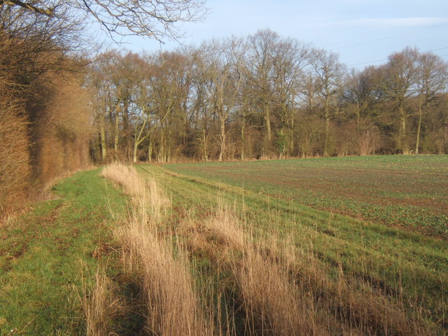 File:Near northern tip of Bonny Wood - geograph.org.uk - 653605.jpg