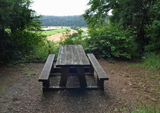 Picnic bench overlooking the Wye valley - geograph.org.uk - 917955