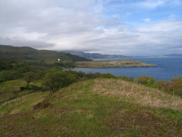 File:Primitive woodland - geograph.org.uk - 451667.jpg