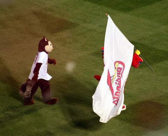 St. Louis Rally Squirrel and Fredbird mascots walking on the field at Busch Stadium prior to Game 7 of the 2011 World Series.