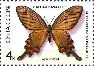 Серия «Красная Книга СССР. Бабочки»: Алкиной ( (ЦФА  № 5799), 1987 год).