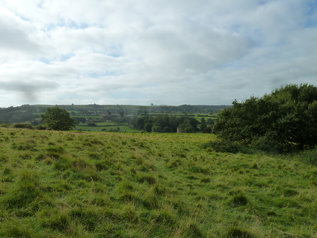 File:Three off the leash on the Limestone Link (9) - geograph.org.uk - 3143259.jpg