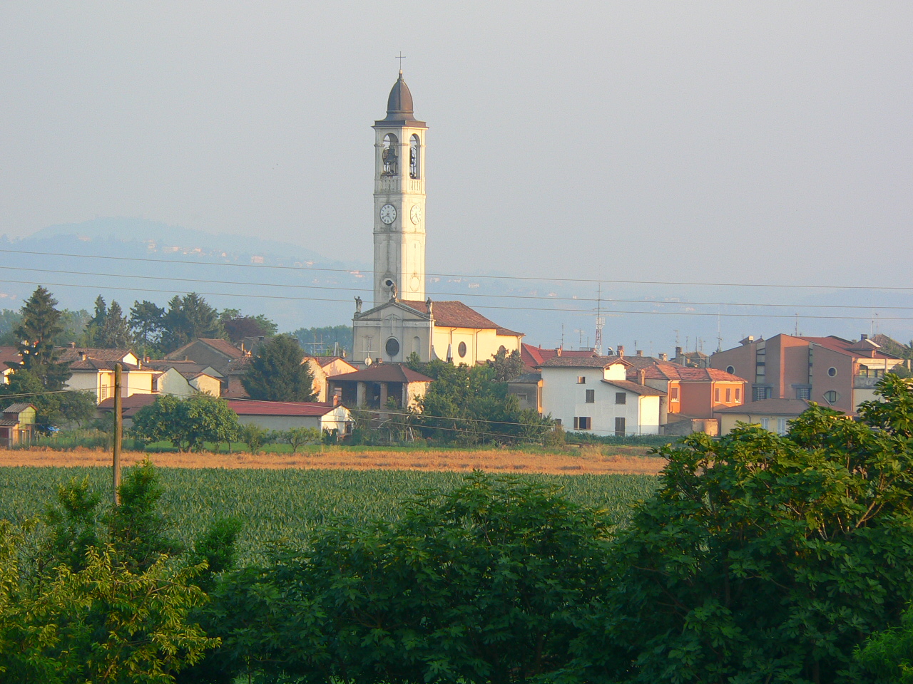 Disinfestazione  a Verrua Po