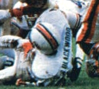 <span class="mw-page-title-main">Glenn Blackwood</span> American football player (born 1957)